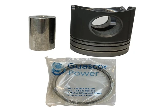 GUASCOR PISTON AND PISTON RINGS